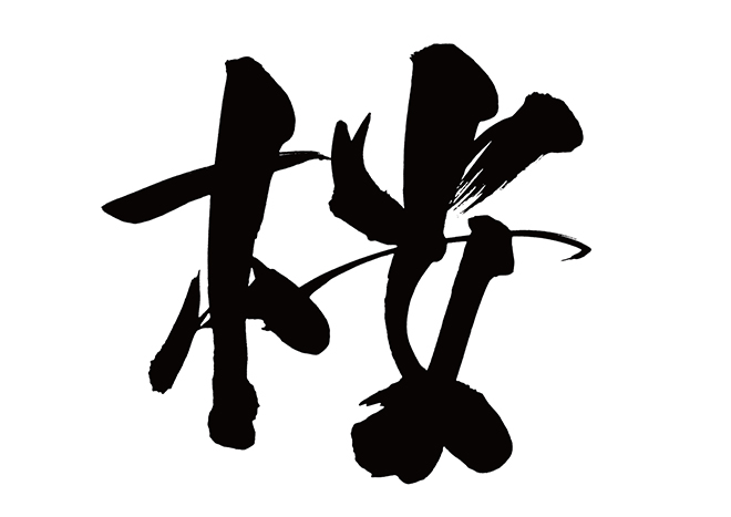 桜の 年賀状 筆文字 無料 素材